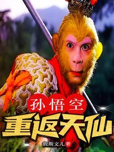 孙悟空回 孙悟空回