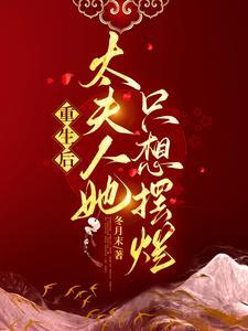 重生后夫人只想守寡txt