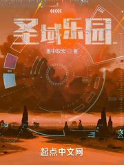 圣域系列游戏 圣域系列游戏